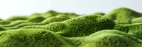 Close-up of vibrant green moss landscape with rolling hills and textured surface, creating a miniature natural terrain against white background.