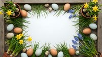Easter frame with colorful eggs, spring flowers and fresh grass on white background. Seasonal holiday decoration for greeting cards and festive designs.