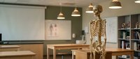Human skeleton model standing in modern medical classroom with anatomical charts and educational materials for healthcare training and anatomy studies.