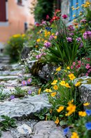 Colorful wildflowers growing along stone path with yellow poppies, purple blooms and green foliage creating natural garden border against soft-focus house wall.