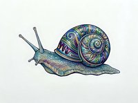 Colorful garden snail with ornate spiral shell featuring blue, purple, and green patterns, isolated on white background for design, clipart, and educational use.