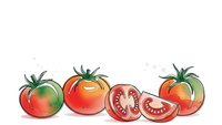 Fresh ripe tomatoes with green leaves and sliced pieces showing seeds and flesh isolated on white background for culinary and cooking designs.