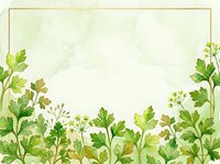 Watercolor herb garden border with parsley and fresh green foliage on cream background, isolated design element for culinary, wellness, and organic product packaging.