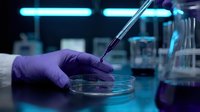 Scientist in purple latex gloves pipetting blue liquid into petri dish in modern laboratory with neon lighting and scientific equipment in background.