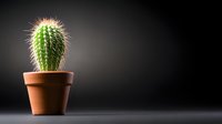 Small green cactus with sharp spines in traditional clay terracotta pot against dark dramatic background with copy space for text placement.