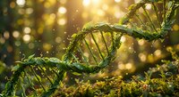 Green DNA double helix structure with golden bokeh lights background for biotechnology and genetic research presentations.