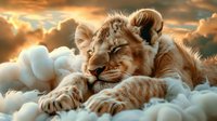 Sleeping lion cub resting on fluffy white clouds at sunset, dreamy fantasy scene with golden light and warm atmospheric sky, artistic nature photography.