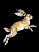 Jumping brown rabbit with long ears isolated on transparent background, ready for t-shirt design, clipart, stickers, and print-on-demand products.