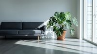 Minimalist living room interior with dark gray sofa, potted green plant, and natural light from large windows, suitable for home decor and interior design projects.