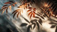 Warm autumn leaves casting dramatic shadows on textured wall, creating natural light and shadow interplay for seasonal home decor.
