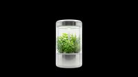Compact indoor herb garden pod with growing green plants inside a sleek cylindrical glass and metal unit, isolated on transparent background, ready for t-shirt, sticker, and print on demand use.