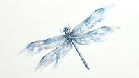 Watercolor dragonfly with delicate blue wings and intricate details on textured paper background for nature art projects and botanical illustrations.
