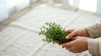 Hands holding fresh green parsley herb bunch over neutral linen fabric background, suitable for culinary, cooking, and food styling projects.