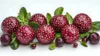 Fresh cranberries with green leaves arranged in line on white background, bright red berries with natural shine and texture for food design and holiday decor.
