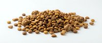 Pile of dried coriander seeds spice isolated on white background for culinary cooking and seasoning applications.