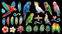 Colorful tropical parrot clipart set isolated on transparent background, featuring exotic birds, feathers, and flowers for stickers, t-shirt design, and print on demand.