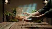 Hands displaying holographic renewable energy icons with wind turbines and solar panels above green plants on wooden surface for sustainability concepts.