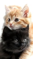 Close-up portrait of adorable ginger and black kittens together, showing bright eyes and soft fur. Gentle natural lighting creates warm mood for pet photography.