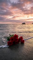 Red roses bouquet on sandy beach at sunset with dramatic sky and ocean waves for romantic occasions and love concepts.
