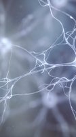 Glowing neural network with interconnected neurons and synapses on a soft blue-gray background, depicting brain activity and neuroscience concepts.