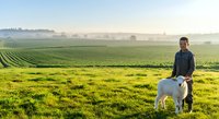 Farmer with goat standing in vast green agricultural field at sunrise, showcasing rural livestock farming and sustainable agriculture practices.
