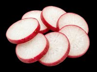 Sliced radish rounds isolated on transparent background, ready for culinary design, recipe graphics, food packaging, print-on-demand products, and kitchen-themed clipart projects.