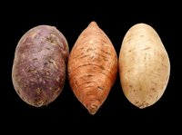 Three fresh root vegetables isolated on transparent background, ready for culinary design, recipe graphics, food packaging, print-on-demand products, t-shirt designs, and digital cooking content.