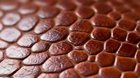Macro shot of brown leather texture with reptile skin pattern showing detailed scales and natural surface grain. For fashion and luxury design backgrounds.