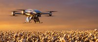 Agricultural drone flying over cotton field at sunset for crop monitoring and precision farming applications.