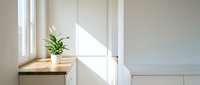 Potted green plant on wooden windowsill with natural sunlight streaming through white window frame in minimalist interior space.
