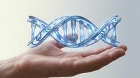 Human hand holding transparent blue DNA double helix structure floating above palm representing genetic research and biotechnology concepts.