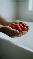 Hands holding fresh red cherry tomatoes in cupped palms showcasing organic harvest and healthy eating lifestyle in bright kitchen setting.