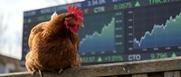Brown rooster perched on wooden fence with stock market trading chart displaying upward trend graph in blurred background for business and finance concepts.