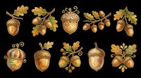 Autumn acorn and oak leaf collection isolated on transparent background. Ready for t-shirt design, clipart, stickers, print-on-demand products, and sublimation projects.