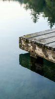 Weathered wooden dock extending into calm lake water with moss-covered surface and tree reflections, suitable for nature, travel, and environmental design projects.