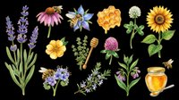 Watercolor honey bees, wildflowers, lavender, sunflower, honeycomb, and honey jar clipart set, isolated on transparent background, ready for t-shirt design and print on demand.