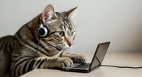 Tabby cat wearing headphones looking at laptop screen, working or learning online, isolated on white background.