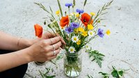 Young woman's hand arranging fresh wildflower bouquet in glass vase with red poppies, yellow daisies, and blue cornflowers for floral design and decoration projects.