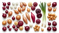 Fresh variety of onions including red, white, yellow, shallots and scallions arranged on white background. Organic vegetables for cooking and healthy nutrition.
