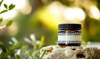 Decorative cosmetic jar with ornamental pattern on natural stone against blurred green garden background, ideal for organic skincare products.