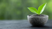 Young green plant growing from black chia seeds in stone bowl against blurred natural background, symbolizing growth, wellness and healthy lifestyle.