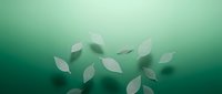 Floating white paper leaves on soft green gradient background creating peaceful minimalist composition for wellness and nature-themed designs.