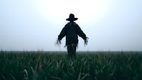 Mysterious scarecrow silhouette standing in green cornfield during foggy dawn creating eerie atmospheric horror scene for Halloween themed projects.