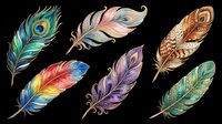Colorful feather collection with peacock, gradient, and ornamental designs isolated on transparent background. Ready for t-shirt designs, clipart, stickers, sublimation, and print-on-demand projects.