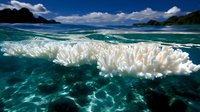 Bleached white coral reef captured in split underwater view with turquoise ocean water, waves, and tropical islands under blue sky.