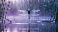 Dragonfly with transparent wings perched on water surface among reeds in magical purple twilight with sparkling bokeh lights and serene pond reflection.