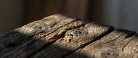 Weathered wood surface with natural grain patterns and rustic texture showing age and character for rustic design projects and natural backgrounds.