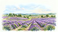 Watercolor lavender field landscape with purple blooming rows, farmhouse, trees, and mountains under a soft cloudy sky.