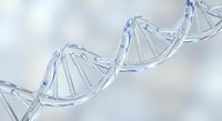 DNA double helix structure in translucent blue with soft lighting for medical research, biotechnology, genetics education and scientific presentations.