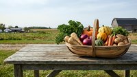 Wooden basket filled with fresh farm vegetables including carrots, cabbage, onions and potatoes displayed on rustic table in countryside agricultural setting.